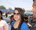 hansika launched amori cell phone shop