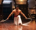Baaghi