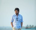 Dear Zindagi