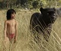 The Jungle Book 