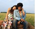 Finding Fanny