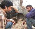 Ishqiya movie stills