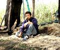 Ishqiya movie stills