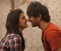 Shuddh Desi Romance