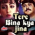 Tere Bina Kya Jeena