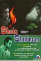 Shola Aur Shabnam Movie Poster