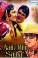 Aan Milo Sajna Movie Poster