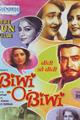 Biwi O Biwi Movie Poster