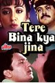 Tere Bina Kya Jeena Movie Poster