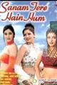 Sanam Tere Hain Hum Movie Poster