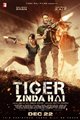 Tiger Zinda Hai Movie Poster