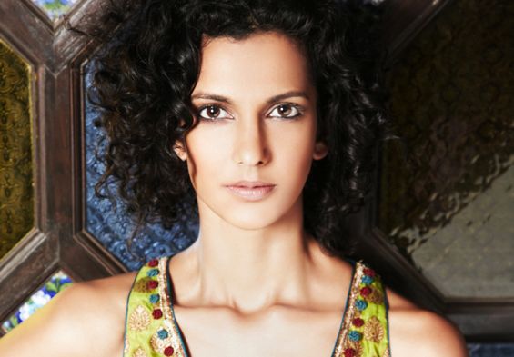 Hollywood TV stars enter Bollywood 