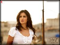 Ek Tha Tiger