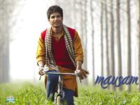 Mausam