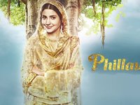 Phillauri