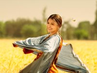 Phillauri