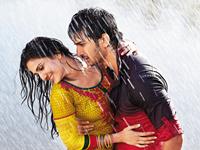 Shuddh Desi Romance